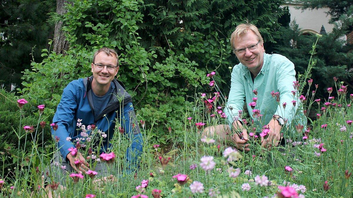 Dr. Andreas Gerth (links) und Gerald Ripka (rechts) in einer blühenden Wiese im Botanischen Garten Gera