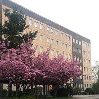 Frontansicht Gebäude. © Internat