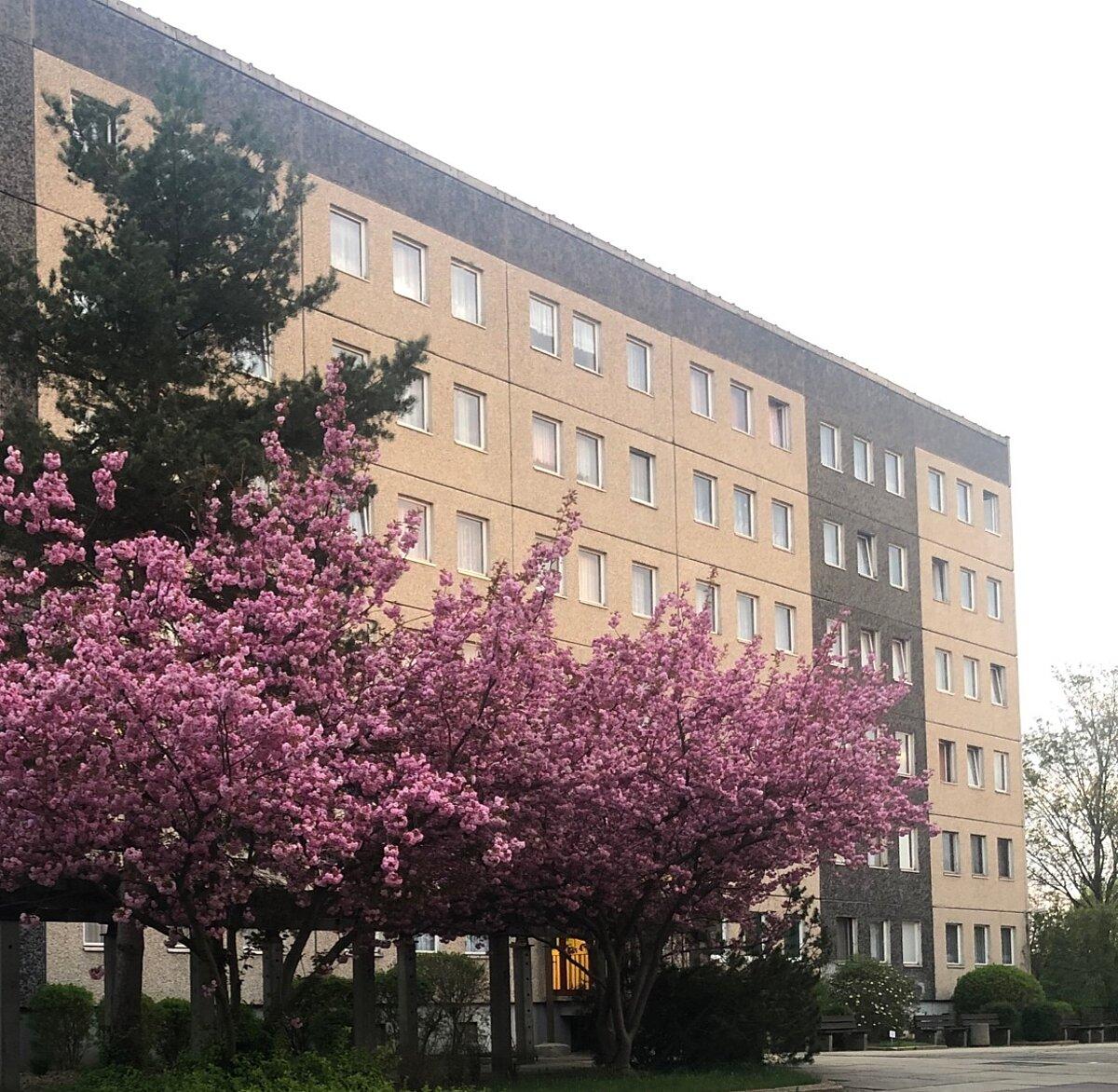 Frontansicht Gebäude. © Internat