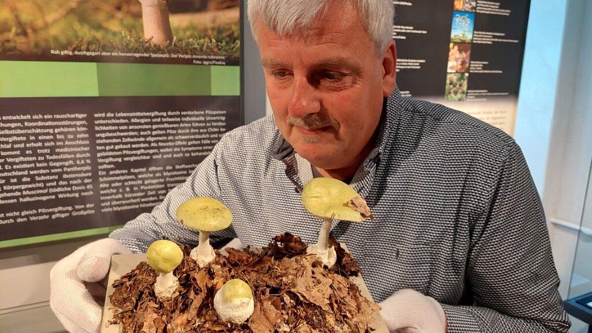 . © Stadt Gera / Museum für Naturkunde (Fotograf: Frank Hrouda)
