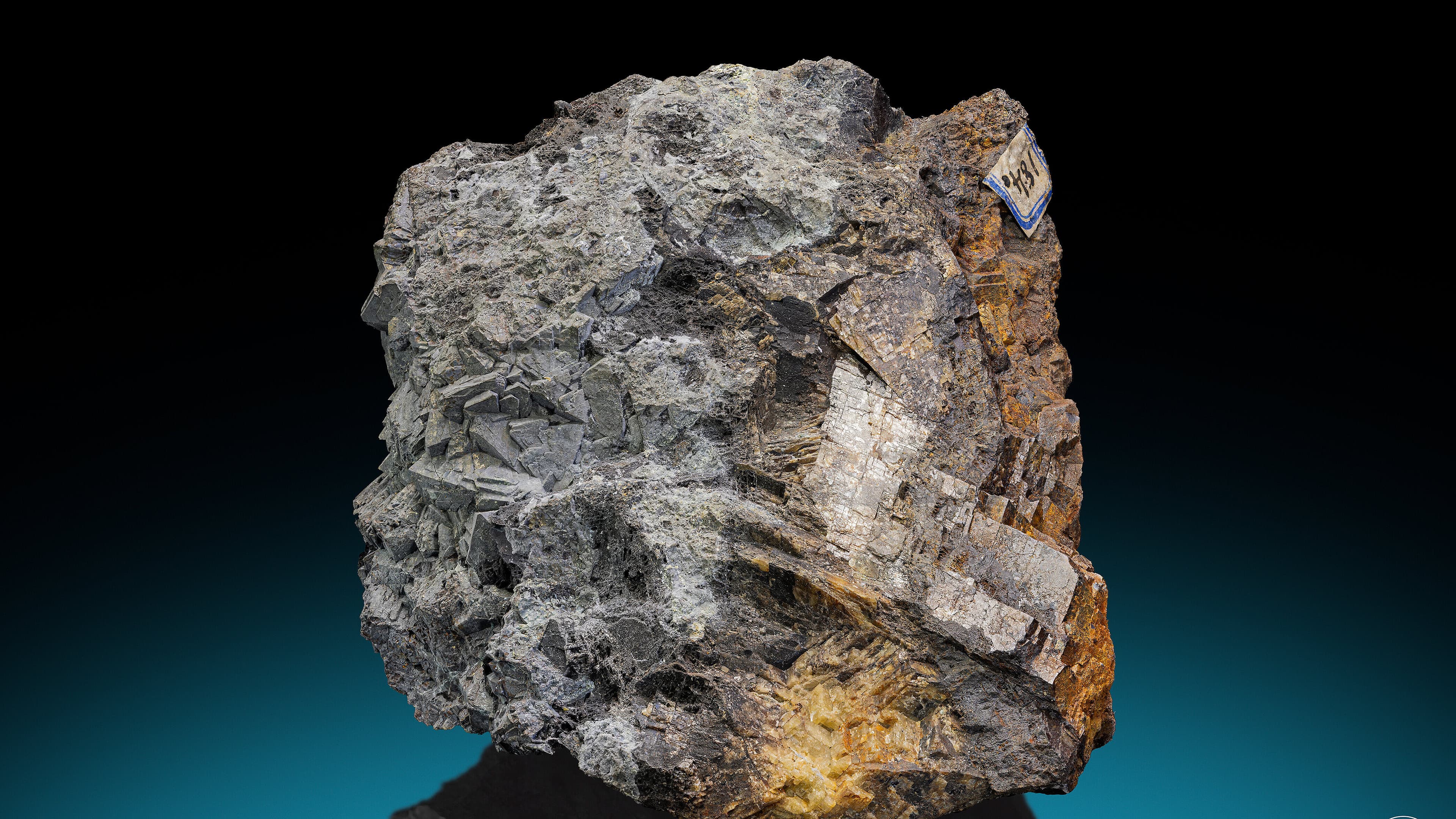 undefined. © Stadt Gera / Museum für Naturkunde (Fotograf: Robert Kennedy). © Stadt Gera / Museum für Naturkunde (Fotograf: Robert Kennedy)