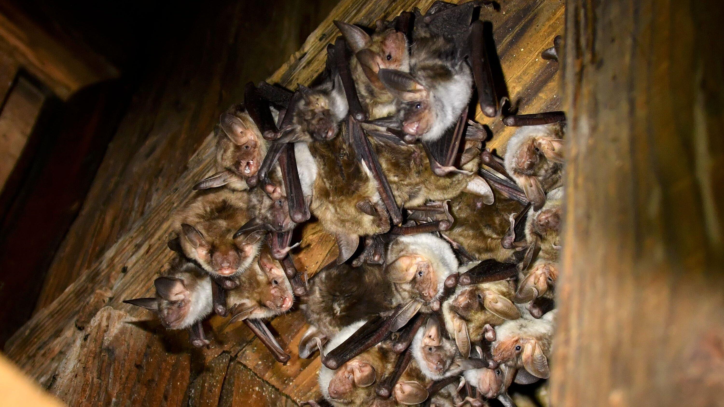 undefined. © Silvio Heidler. © Silvio Heidler