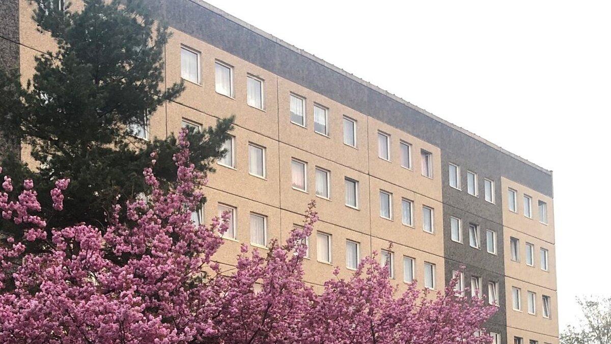 Frontansicht Gebäude. © Internat