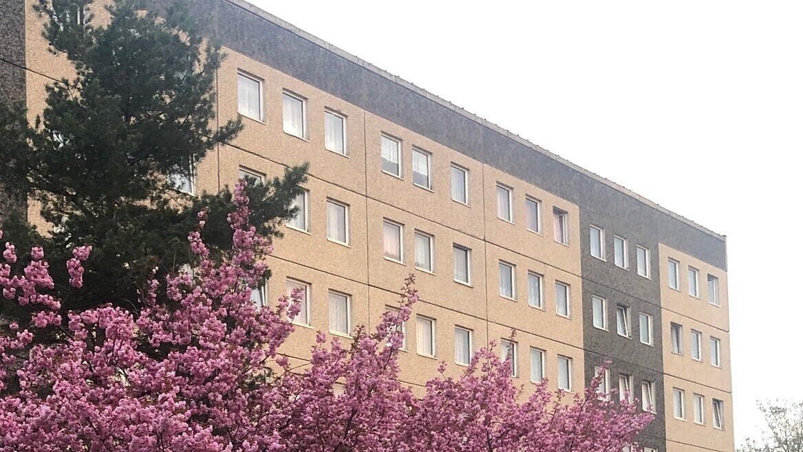 Frontansicht Gebäude. © Internat