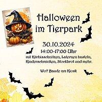 Plakat für eine Halloween Veranstaltung im Tierpark.