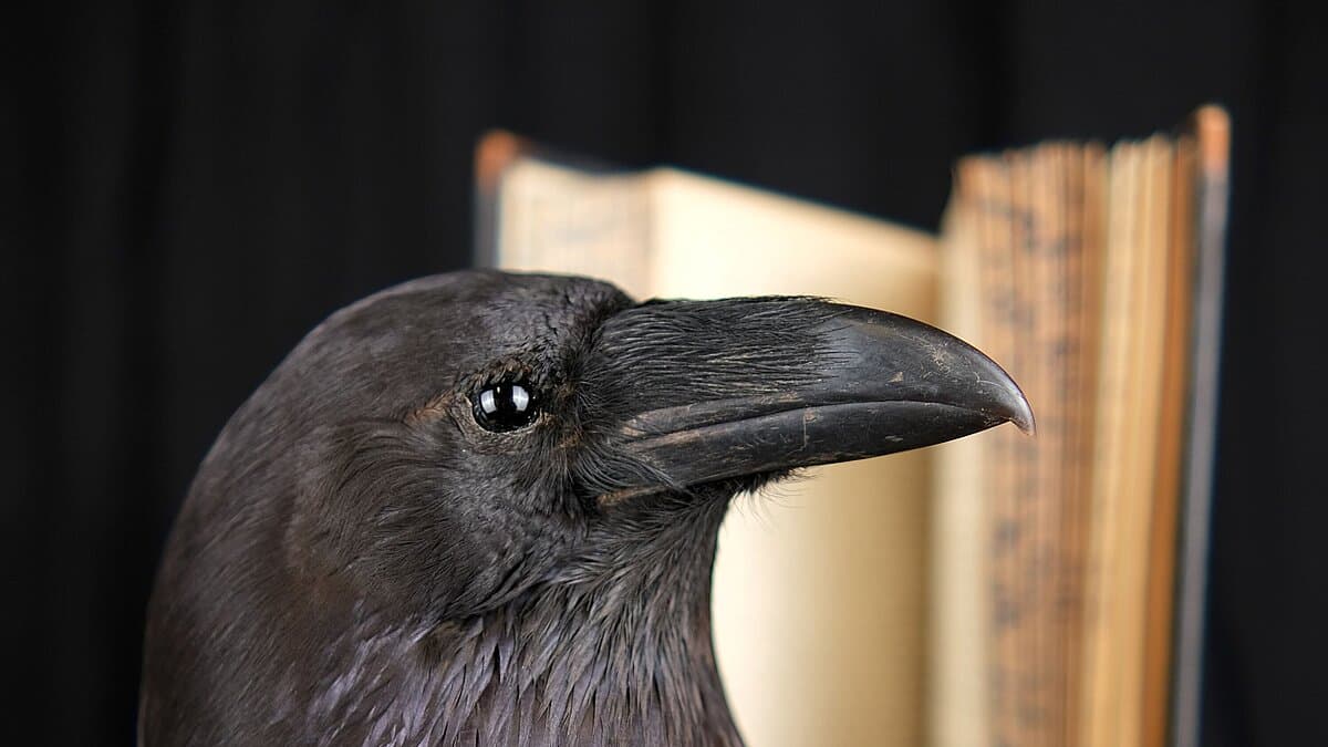 . © Stadt Gera / Museum für Naturkunde (Fotograf: Dr. Andreas Gerth)