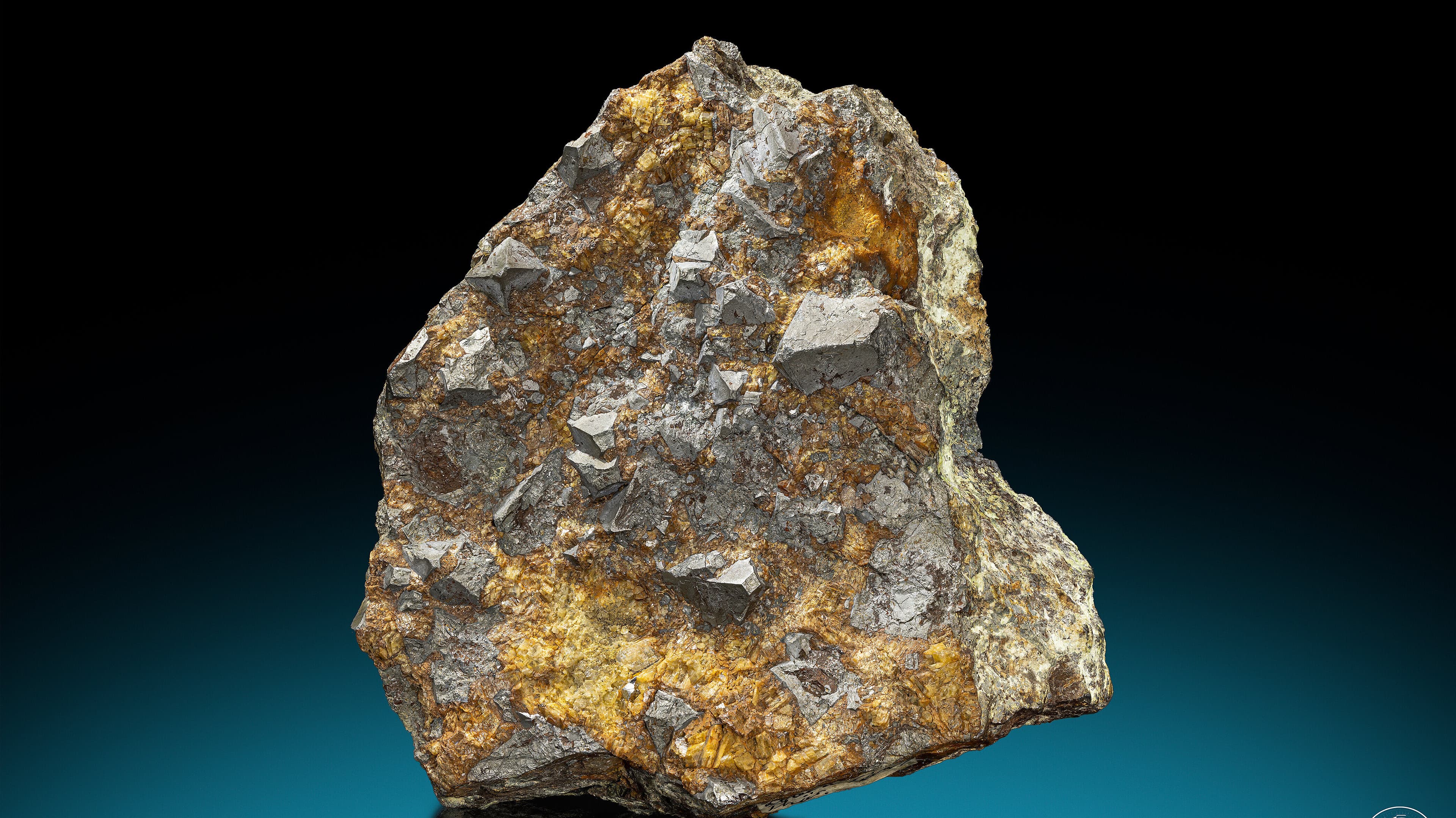 undefined. © Stadt Gera / Museum für Naturkunde (Fotograf: Robert Kennedy). © Stadt Gera / Museum für Naturkunde (Fotograf: Robert Kennedy)