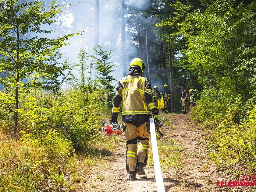 Feuerwehreinsatz Waldbrand. © Feuerwehr Gera