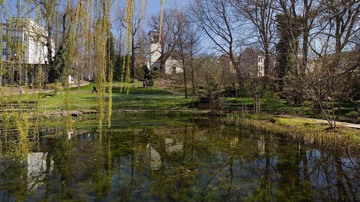 Hinter dem Teich in das Turmhaus des Botanischen Gartens Gera zu sehen