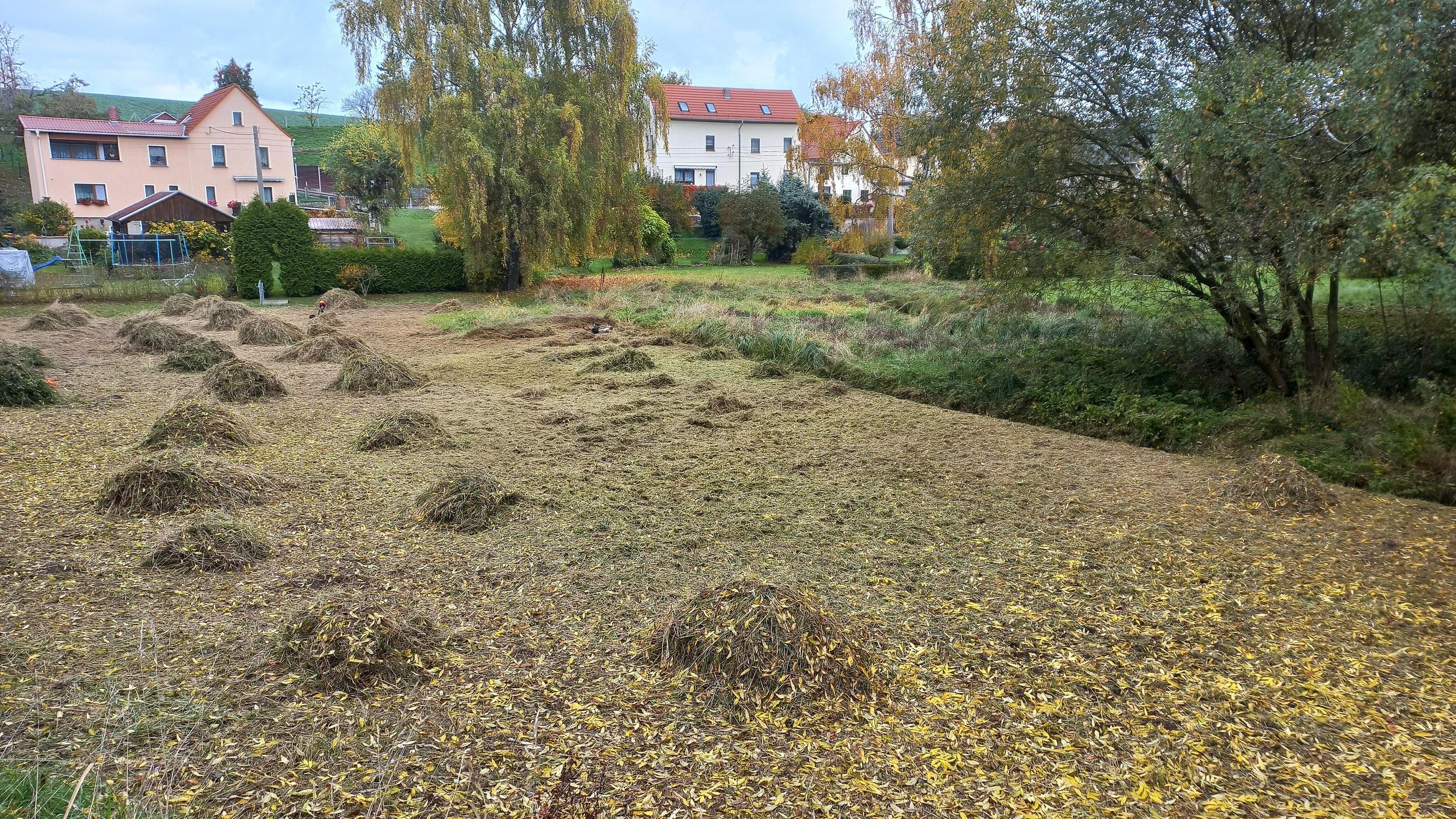 undefined. © Andrea Geithner. © Andrea Geithner