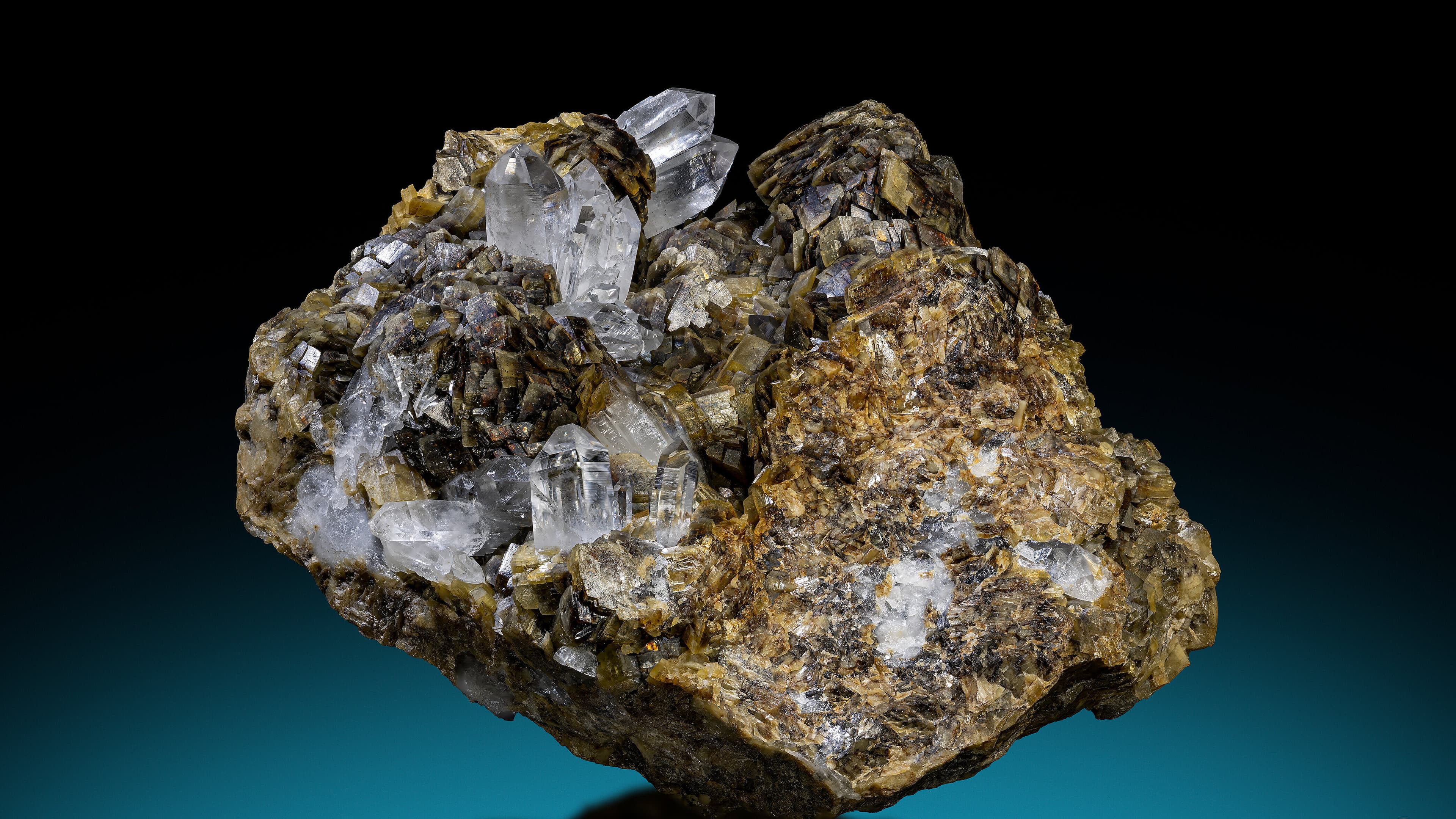 undefined. © Stadt Gera / Museum für Naturkunde (Fotograf: Robert Kennedy). © Stadt Gera / Museum für Naturkunde (Fotograf: Robert Kennedy)