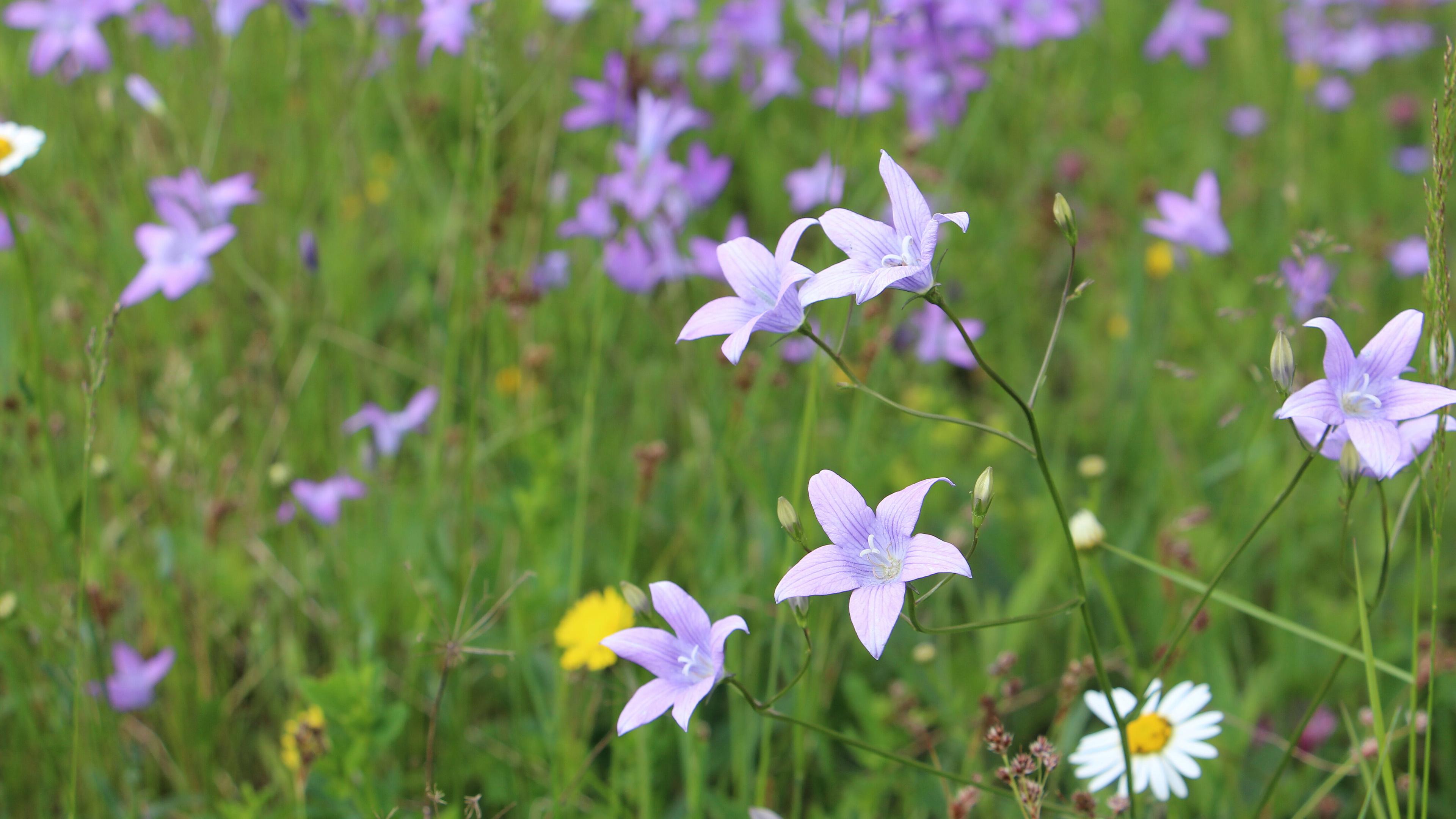 undefined. © Andrea Geithner. © Andrea Geithner