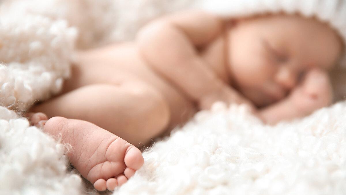 . © Africa Studio - stock.adobe.com