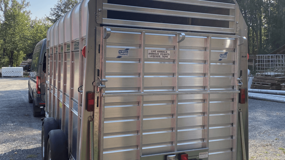 Ein Transporter von hinten.. © Stadt Gera