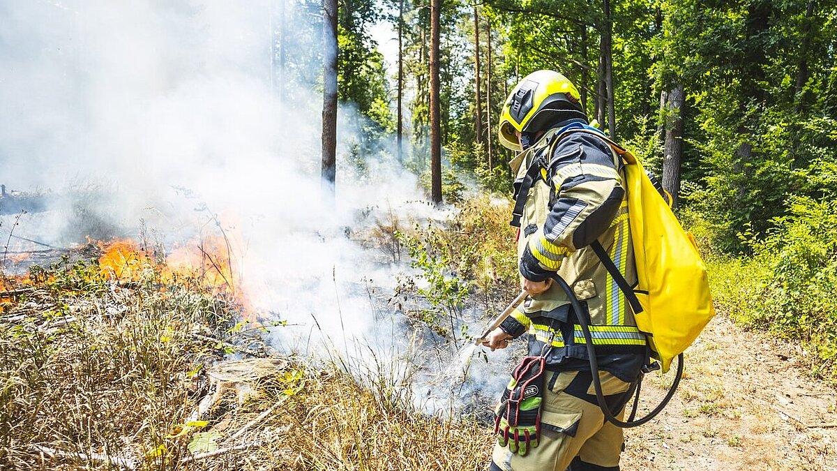 Ein Feuerwehrmann, der sich um einen kontrollierten Waldbrand kümmert. © Amt für Brand- und Katastrophenschutz