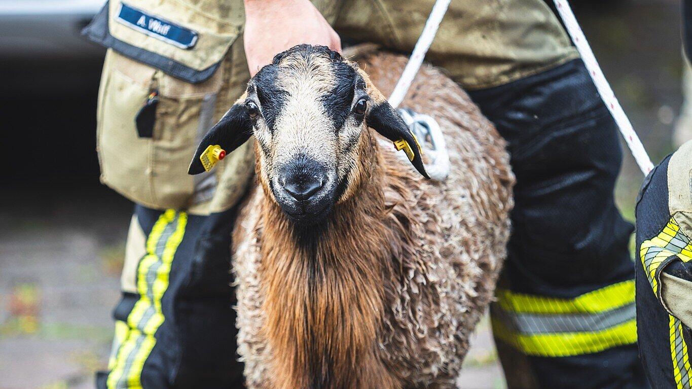 undefined. © Amt für Brand- und Katastrophenschutz. © Amt für Brand- und Katastrophenschutz