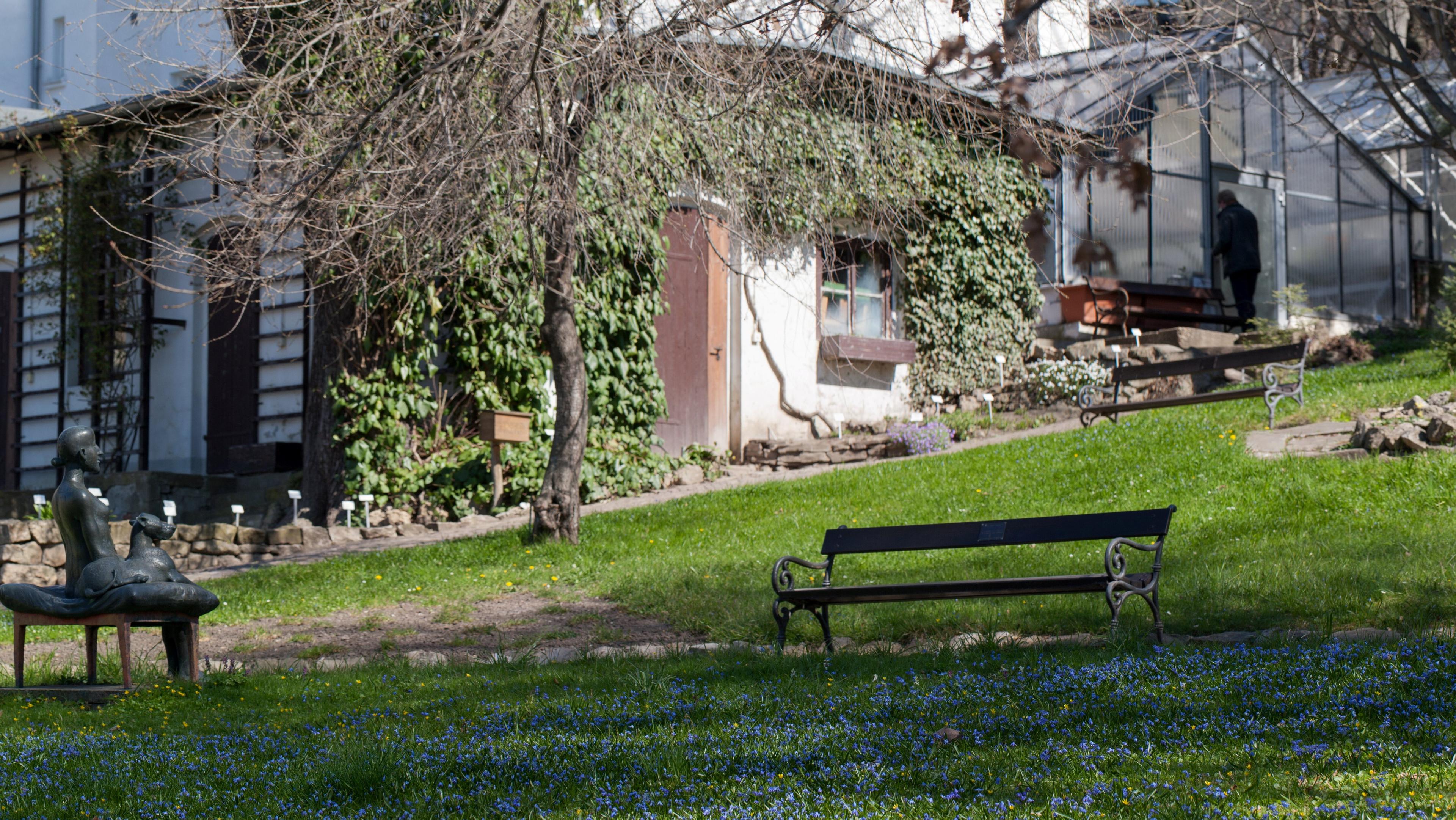 Wiese und Bäume im Botanischen Garten Gera. © ARTwork-stewe 