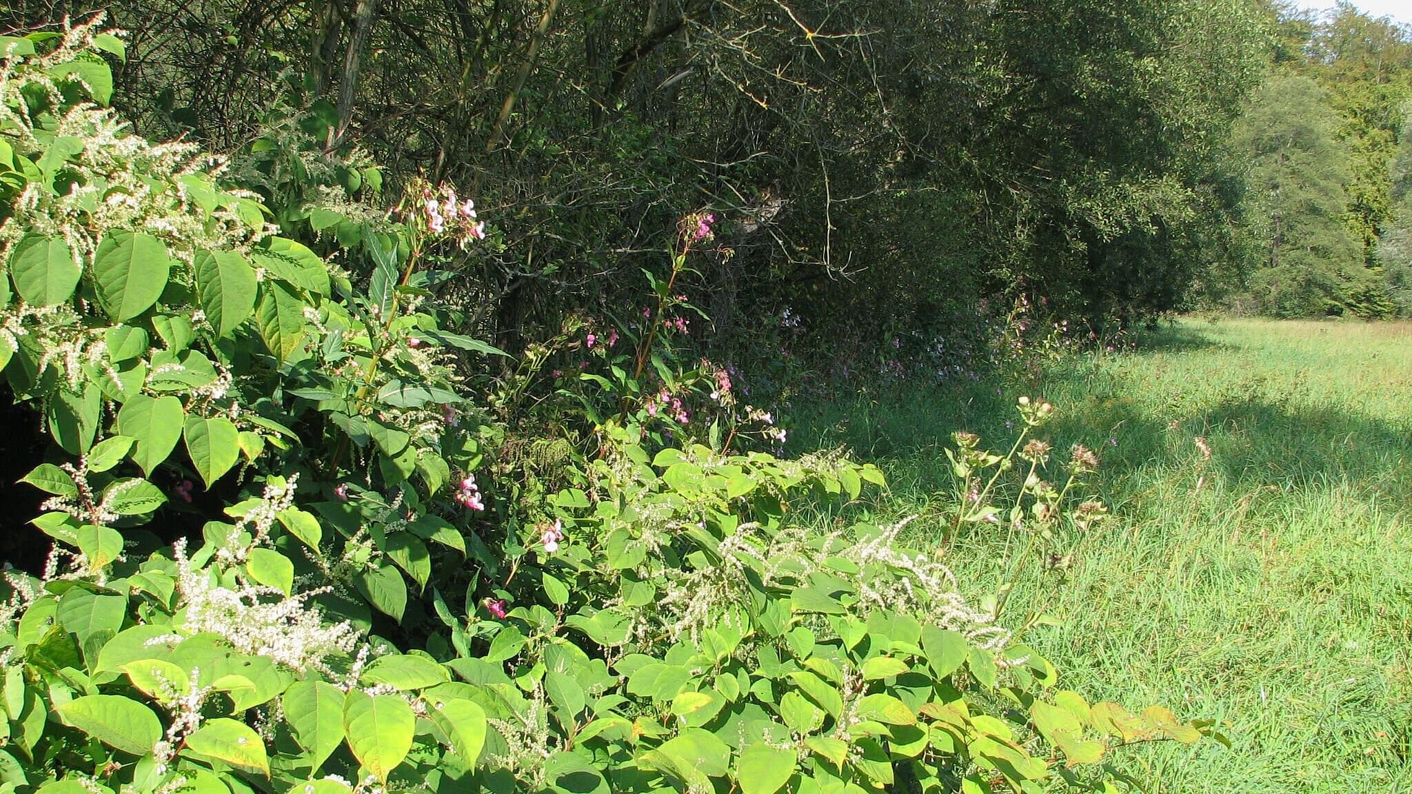 undefined. © Andrea Geithner. © Andrea Geithner