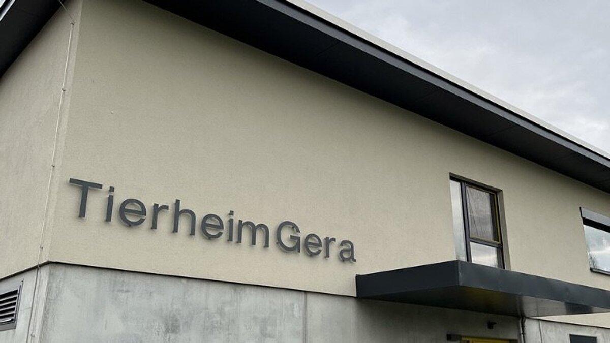 Gera.de
