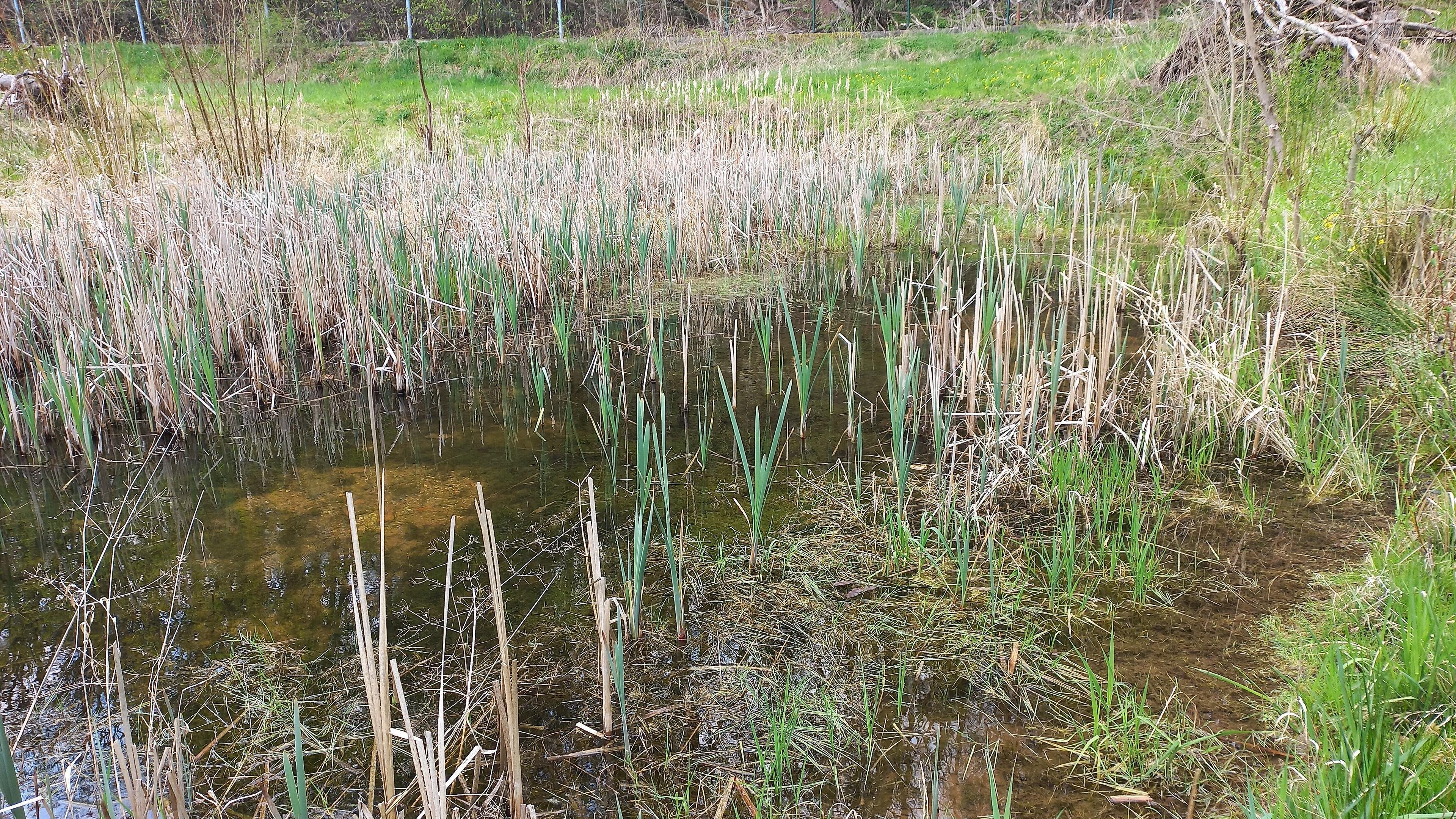 undefined. © Andrea Geithner. © Andrea Geithner