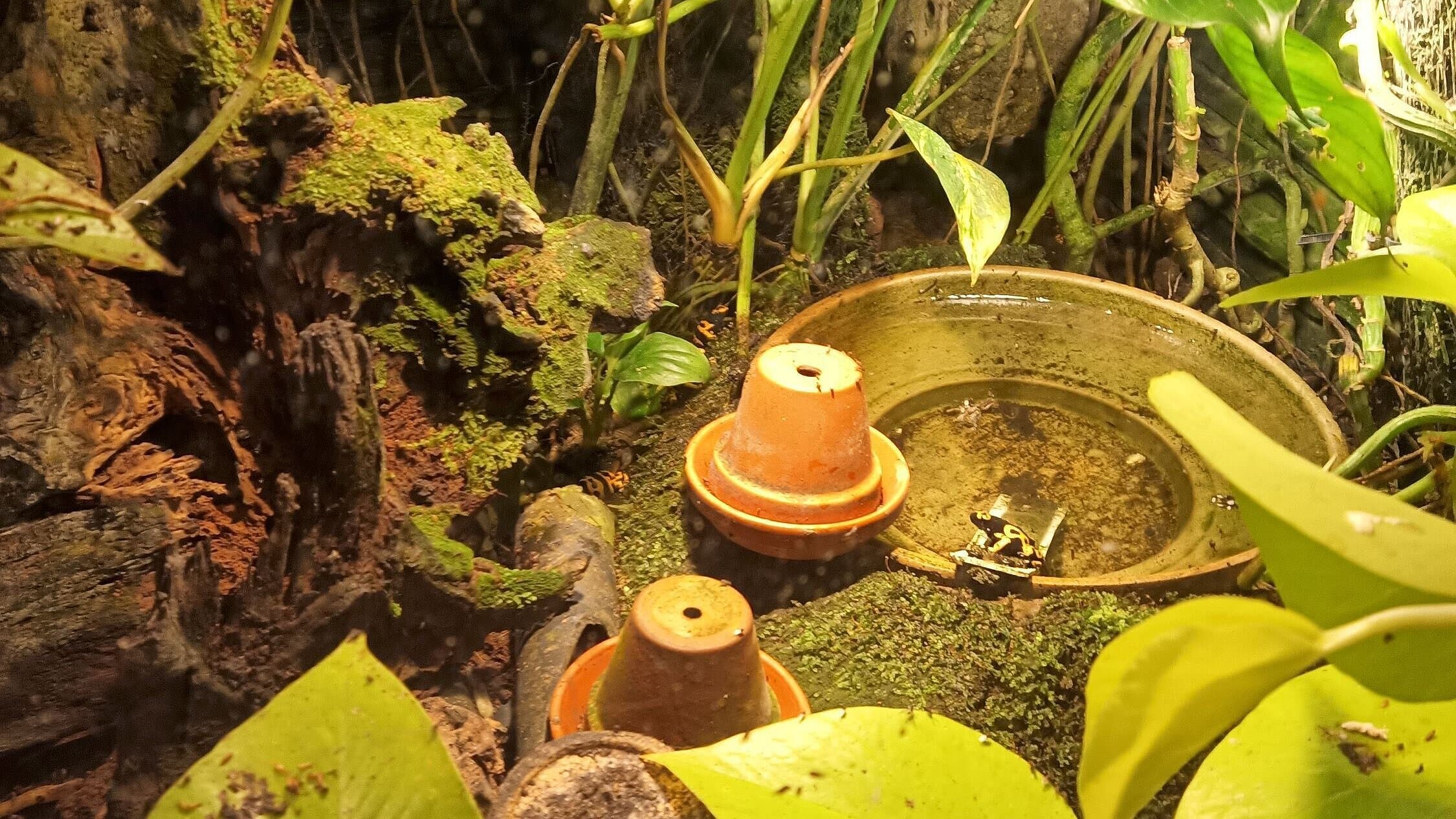 undefined. © Stadt Gera. © Stadt Gera