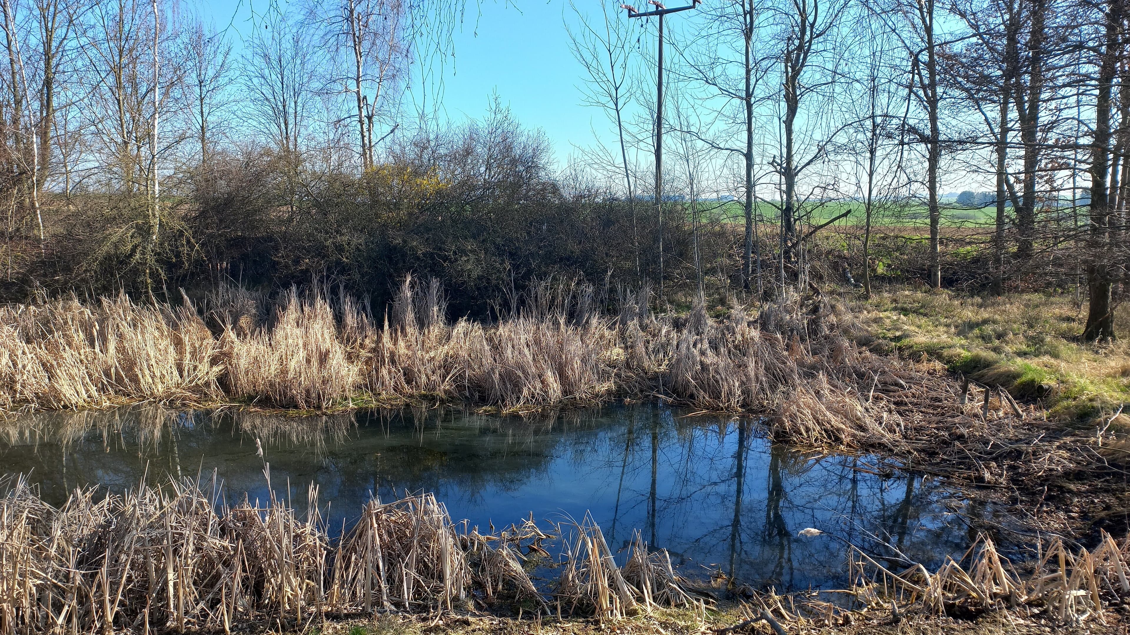 undefined. © Andrea Geithner. © Andrea Geithner