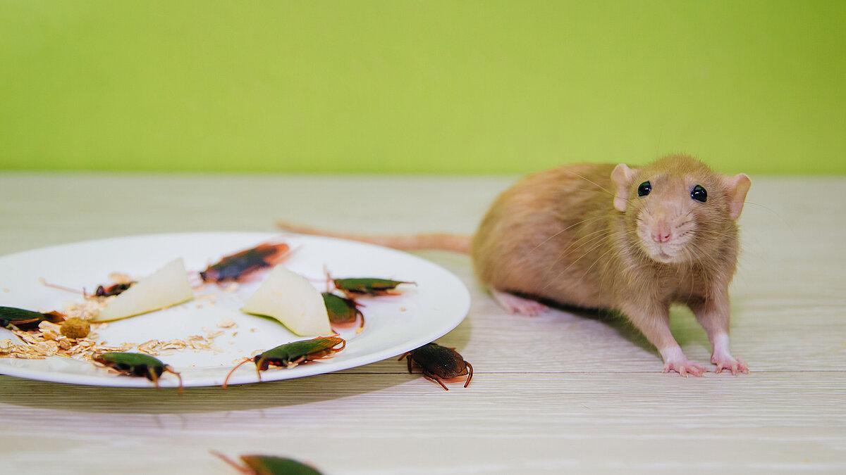 . © stock.adobe.com