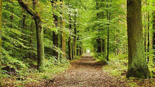 undefined. © Thomas Fietsch. © Thomas Fietsch