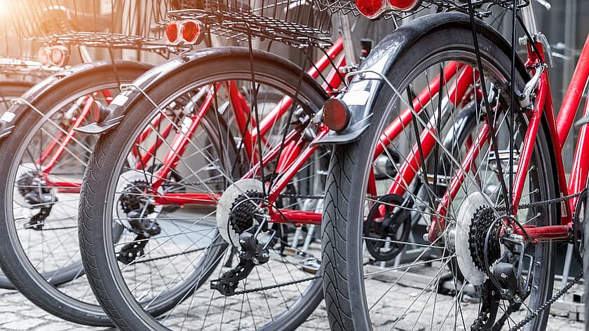 . © Kyryl Gorlov / stock.adobe.com