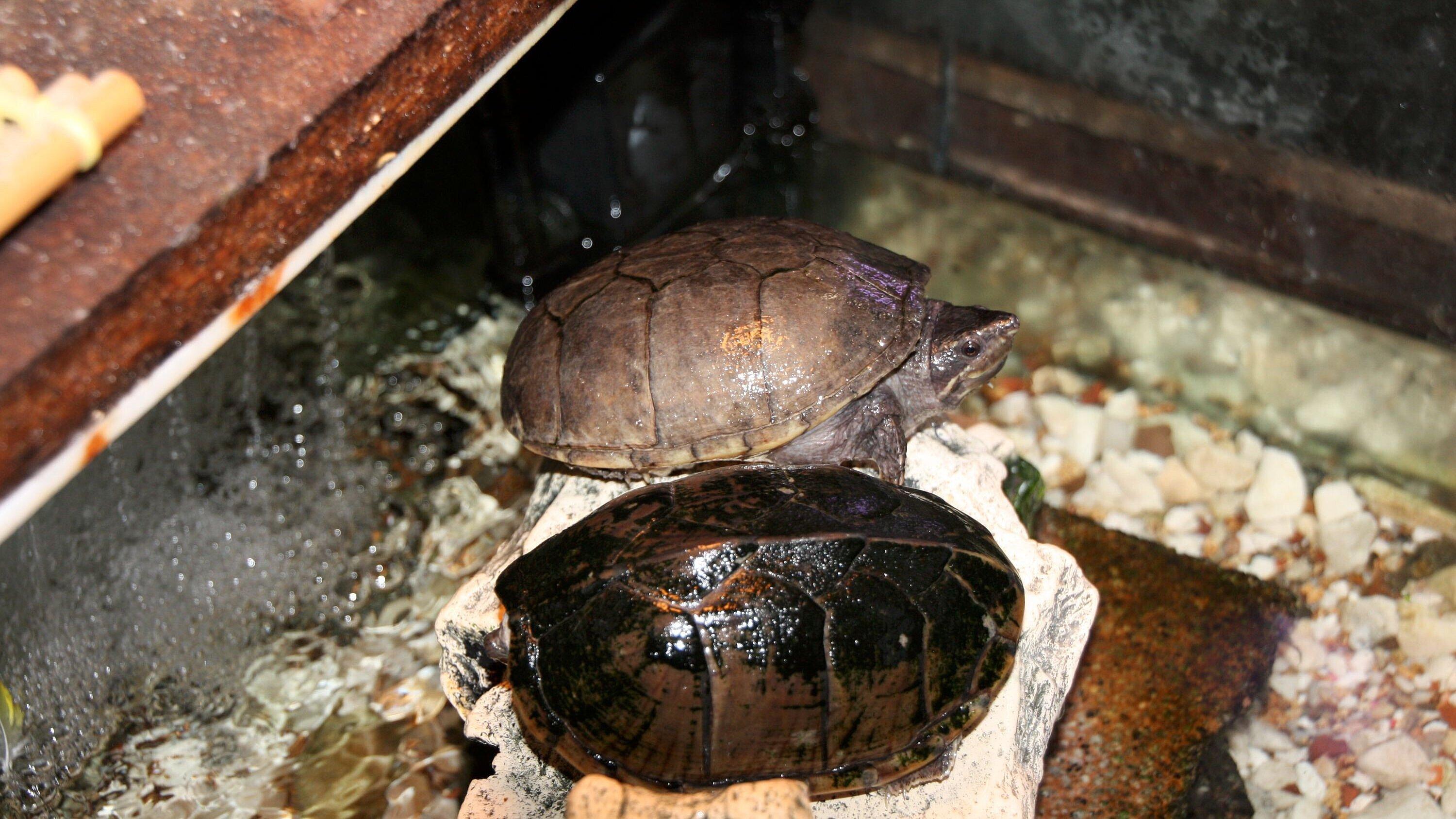 undefined. © Stadt Gera. © Stadt Gera