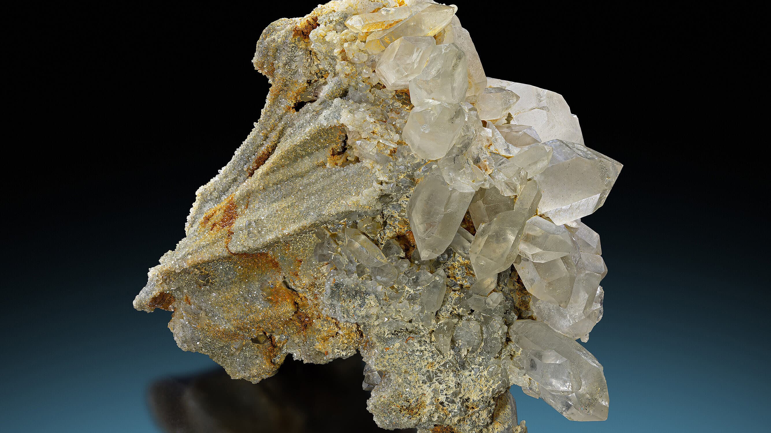 undefined. © Stadt Gera / Museum für Naturkunde (Fotograf: Robert Kennedy). © Stadt Gera / Museum für Naturkunde (Fotograf: Robert Kennedy)