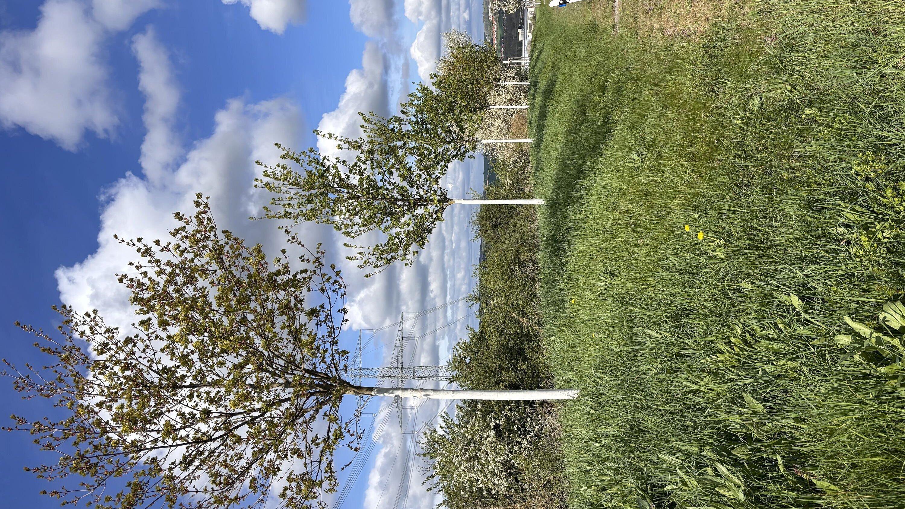 undefined. © Stadt Gera. © Stadt Gera