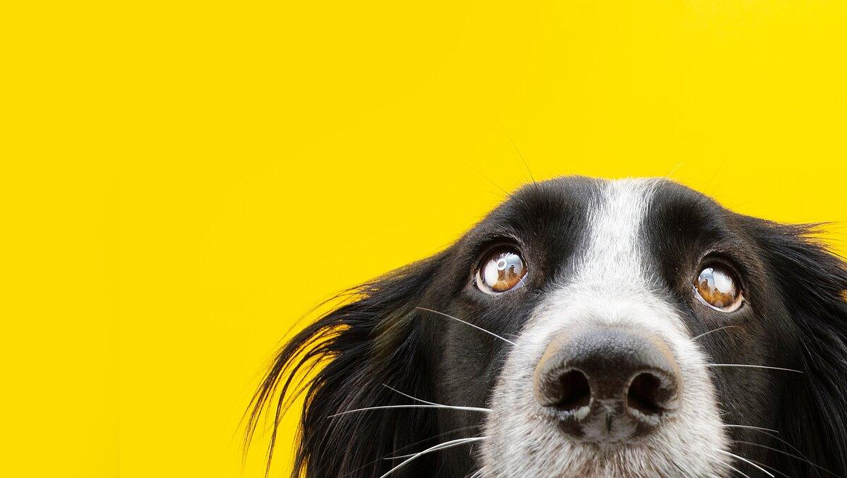 . © stock.adobe.com