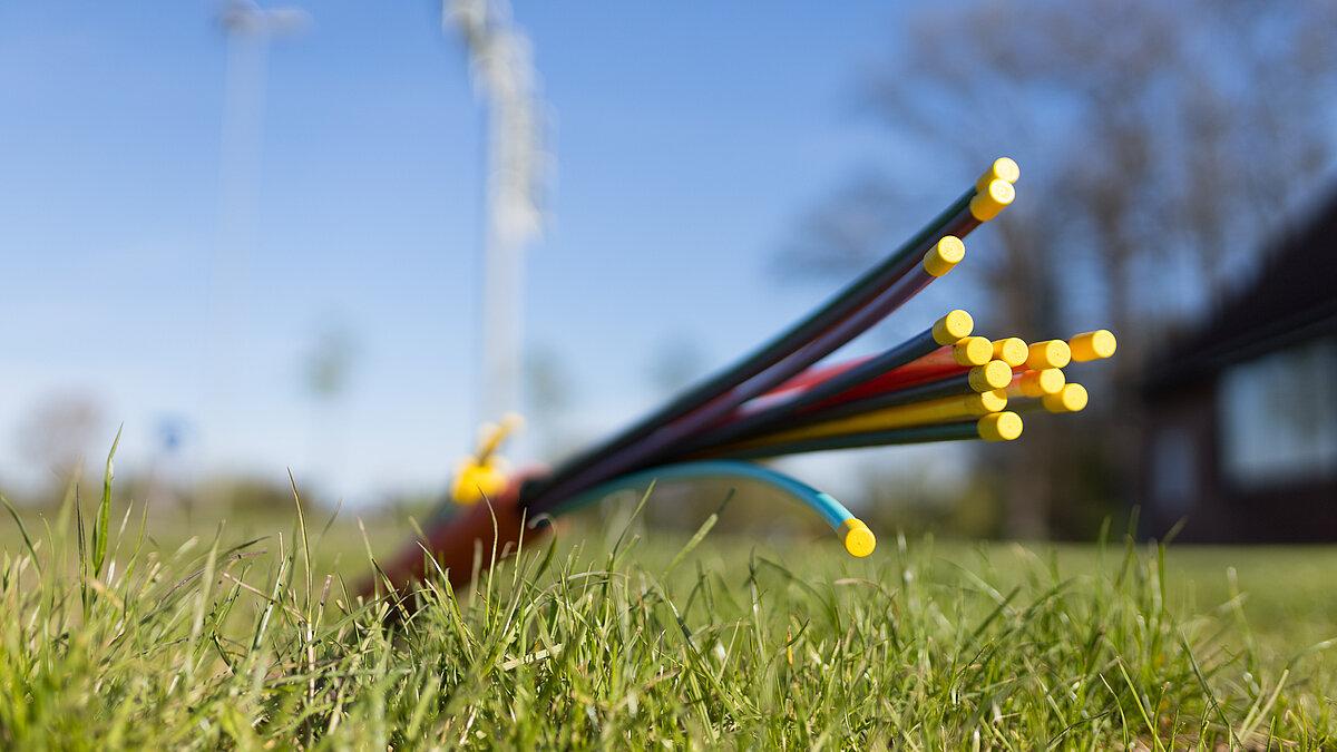 Verschiedene Kabel auf grünem Gras.. ©  Christian Schwier_stock.adobe.com
