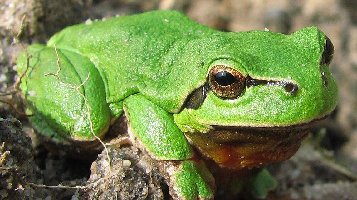 undefined. © Andrea Geithner. © Andrea Geithner