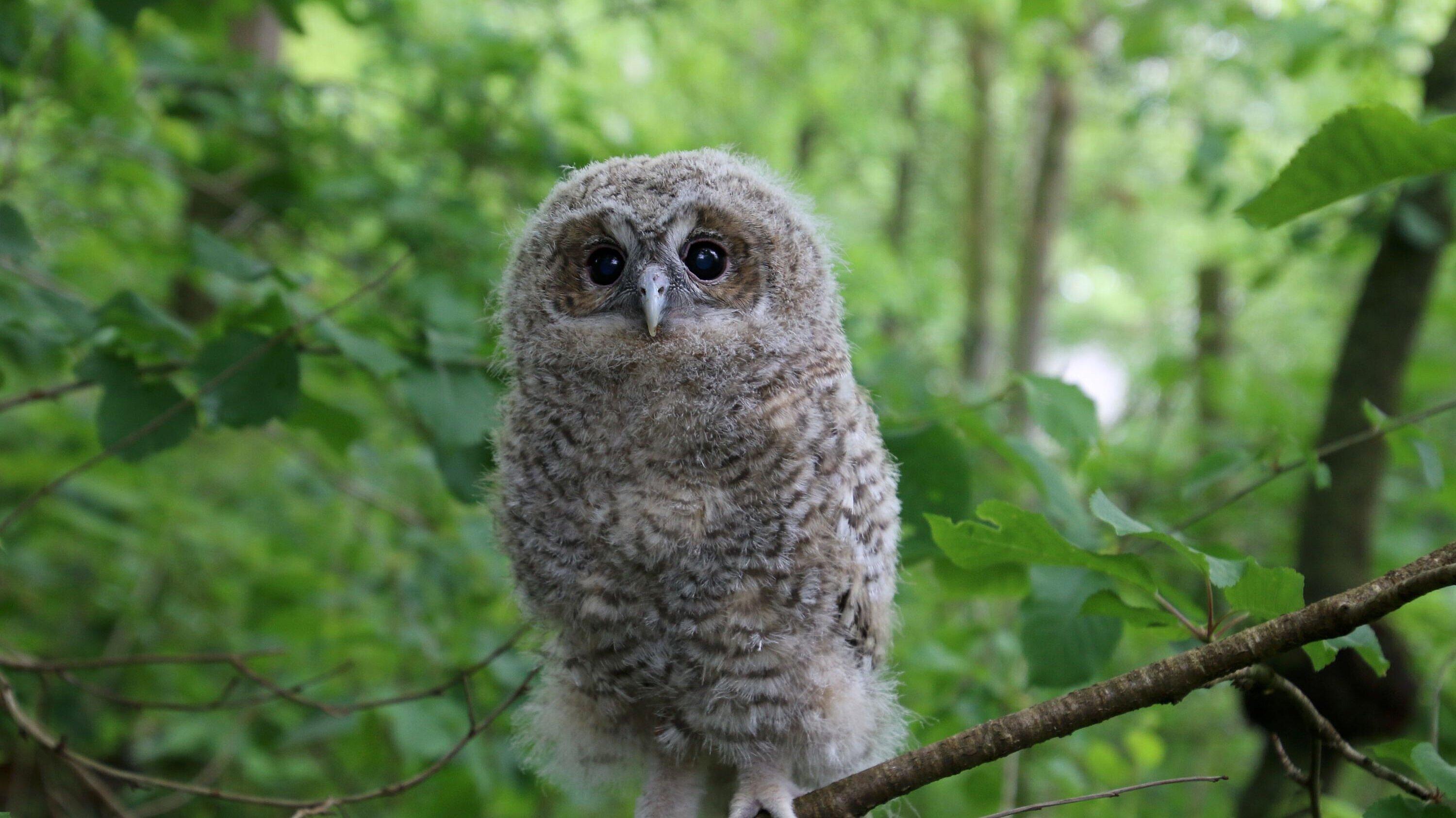 undefined. © Stadt Gera. © Stadt Gera