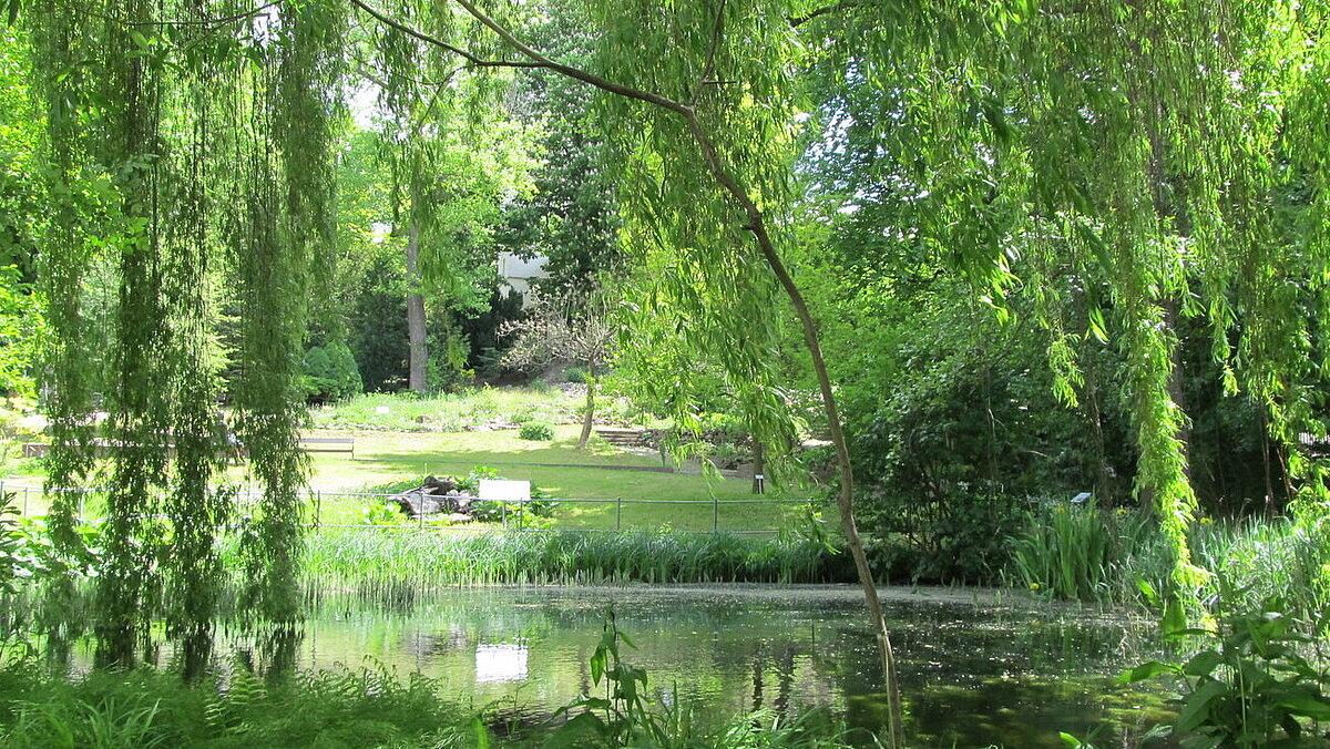 Blick in den Botanischen Garten Gera. © Stadt Gera