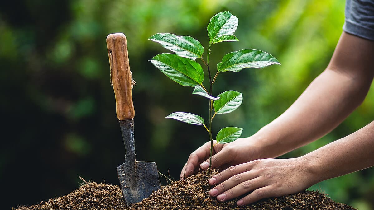 . © artrachen / stock.adobe.com