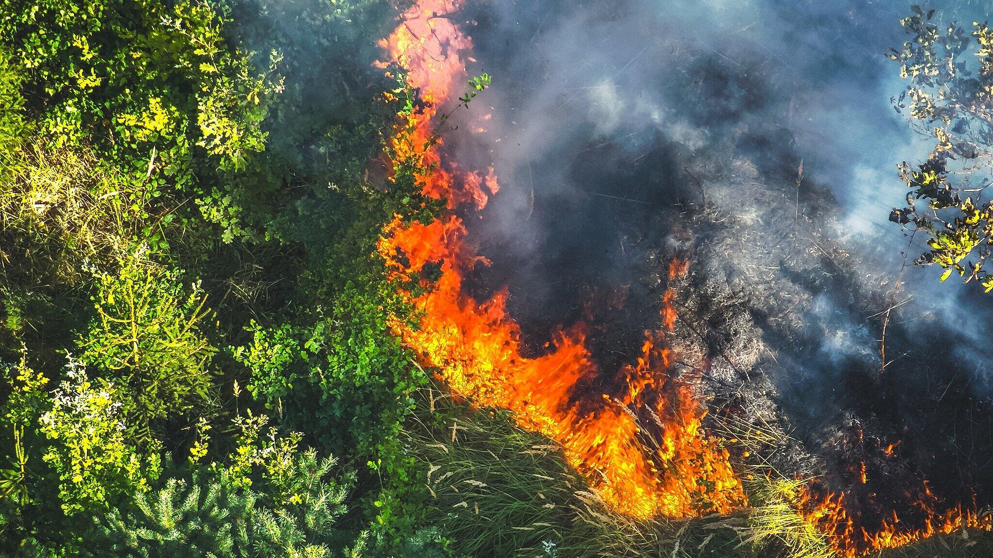undefined. © Amt für Brand- und Katastrophenschutz. © Amt für Brand- und Katastrophenschutz