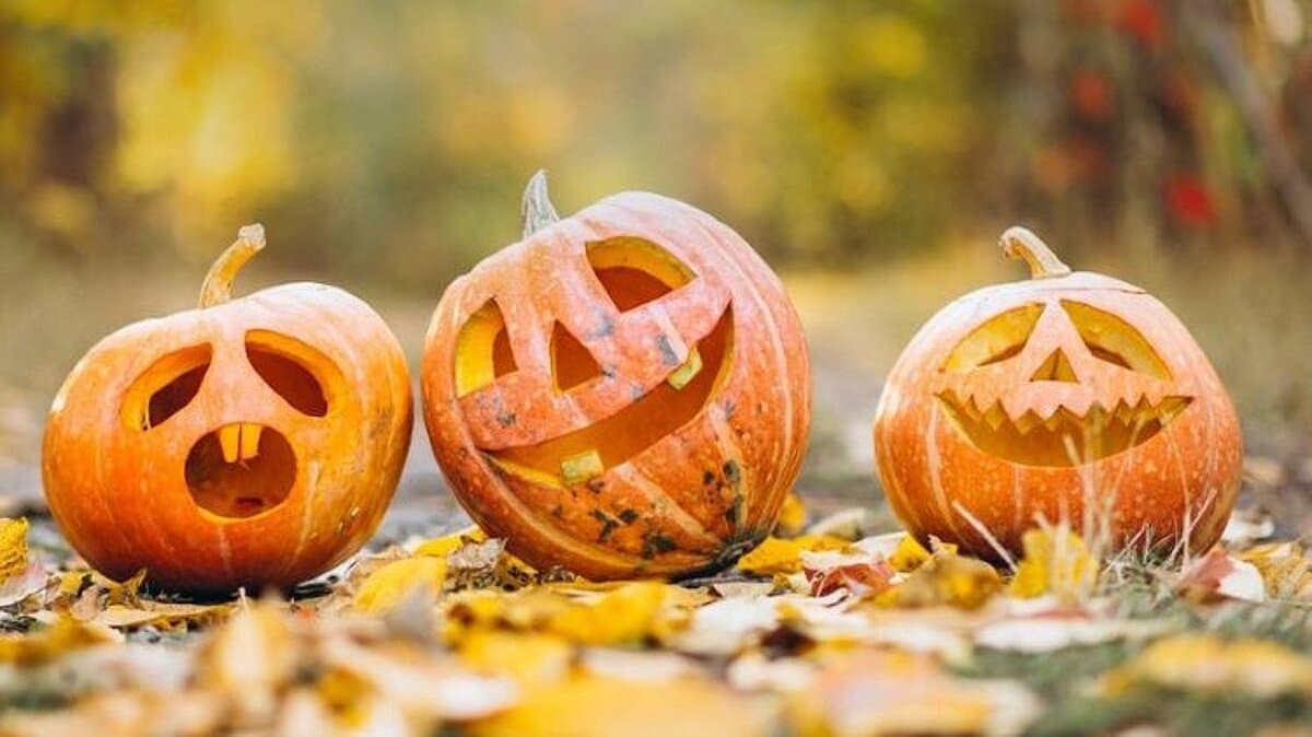geschnitzte Kürbisse zu Halloween. © Pixabay