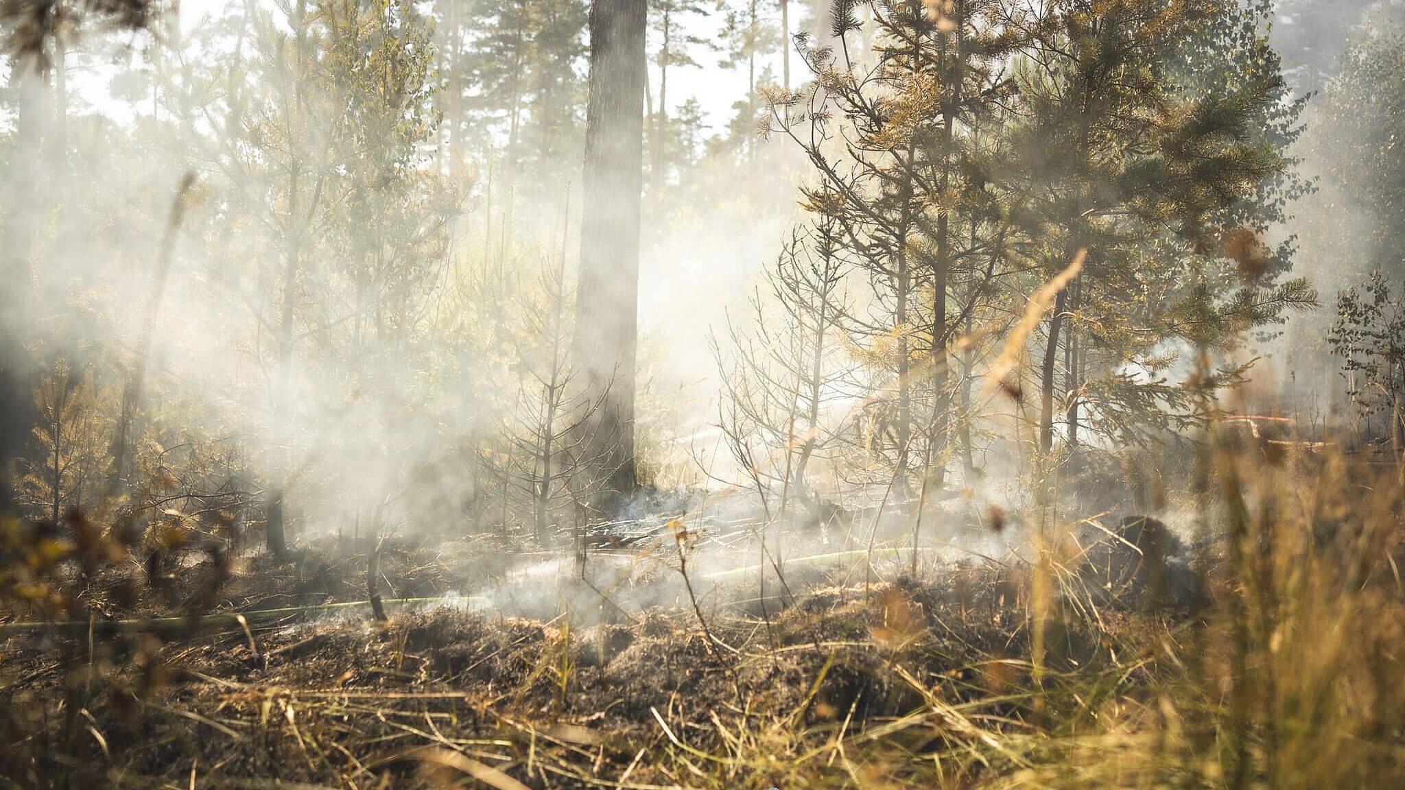 undefined. © Amt für Brand- und Katastrophenschutz. © Amt für Brand- und Katastrophenschutz