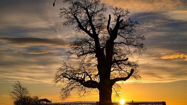 undefined. © Thomas Fietsch. © Thomas Fietsch