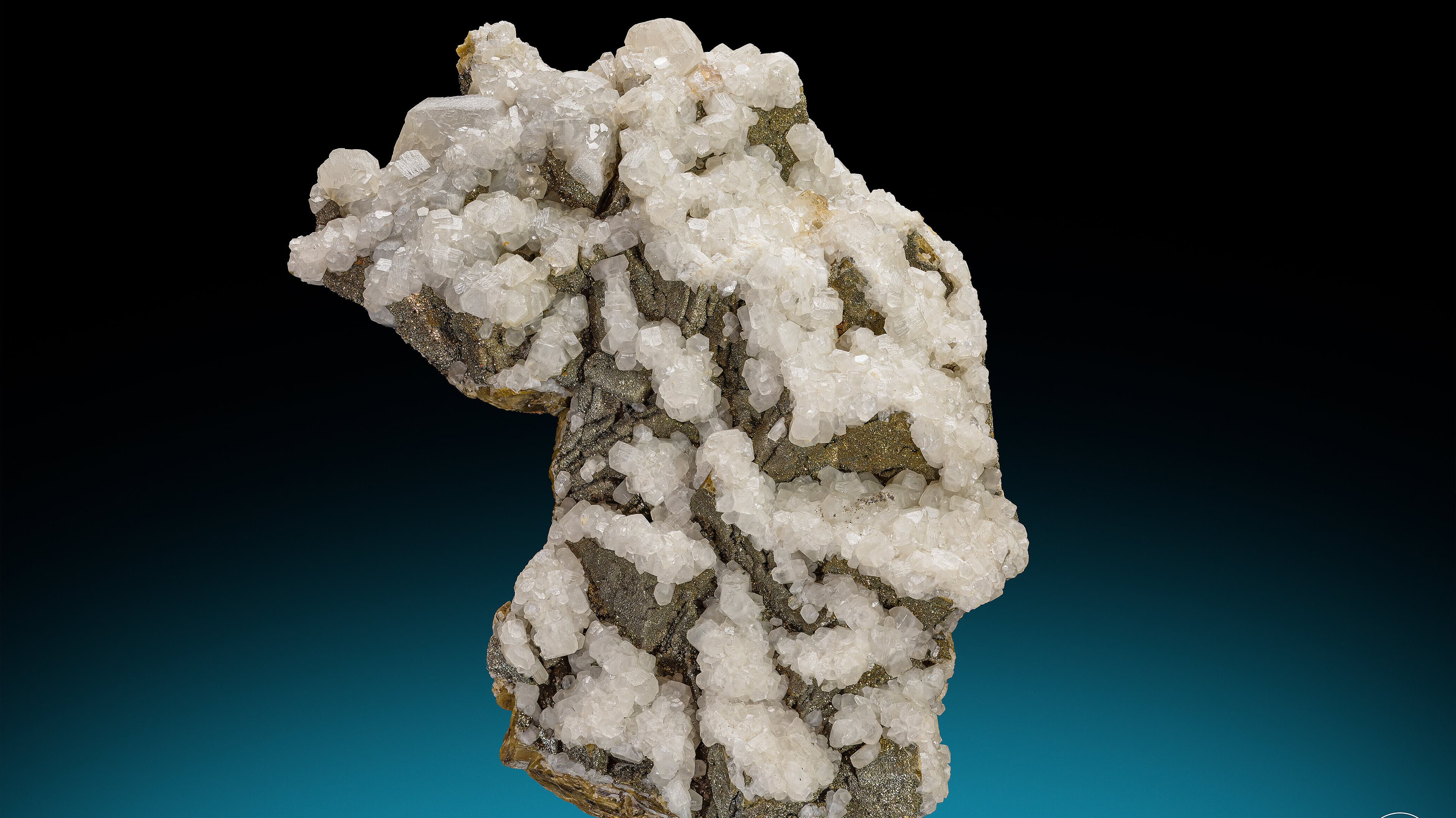 undefined. © Stadt Gera / Museum für Naturkunde (Fotograf: Robert Kennedy). © Stadt Gera / Museum für Naturkunde (Fotograf: Robert Kennedy)