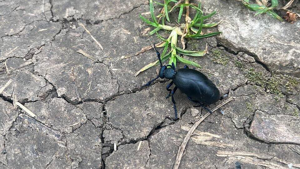 undefined. © Stadt Gera. © Stadt Gera