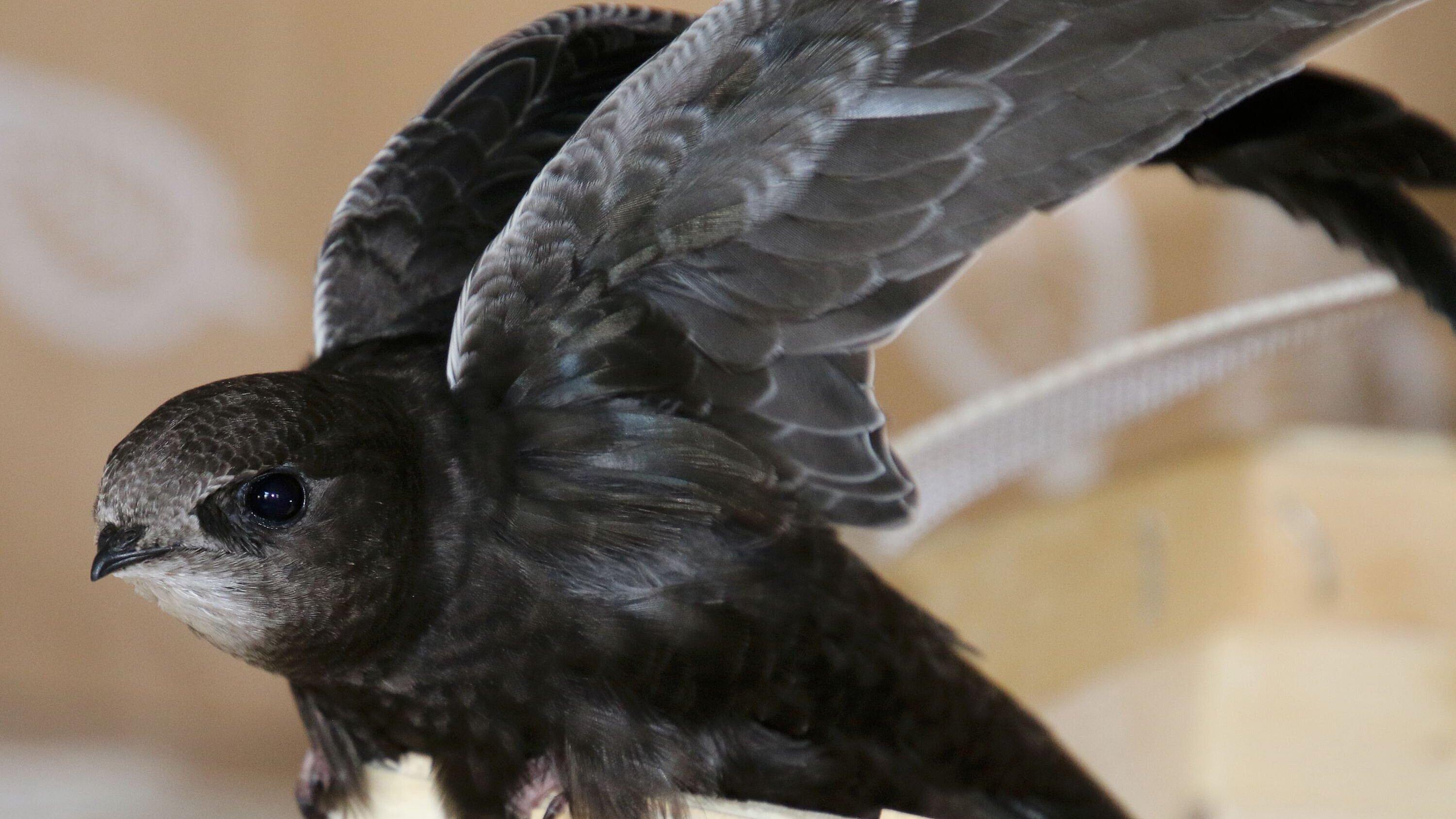 undefined. © Stadt Gera. © Stadt Gera