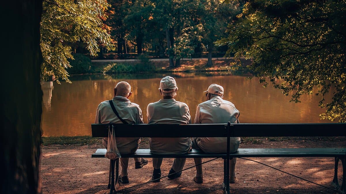 . © stock.adobe.com