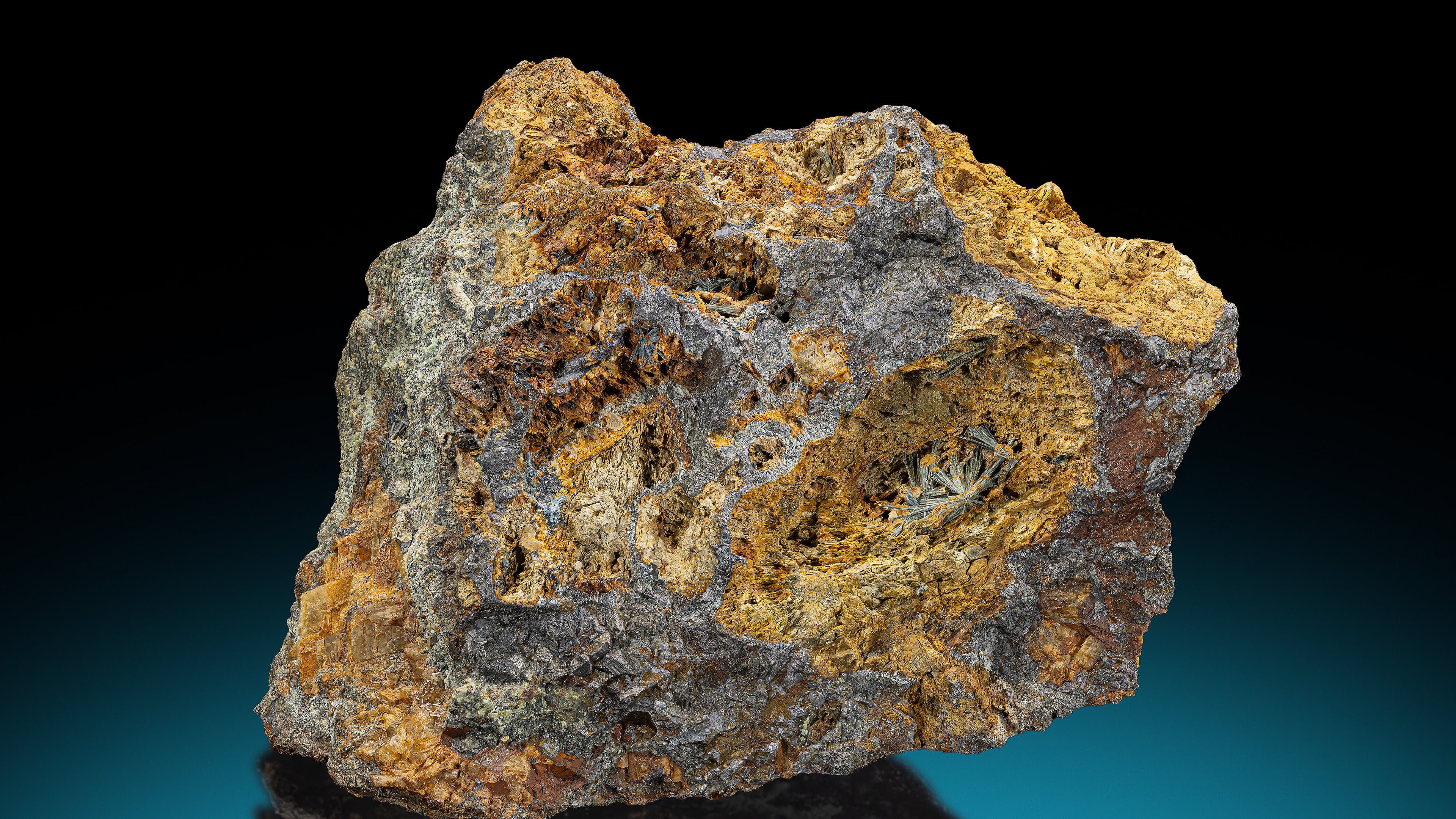 undefined. © Stadt Gera / Museum für Naturkunde (Fotograf: Robert Kennedy). © Stadt Gera / Museum für Naturkunde (Fotograf: Robert Kennedy)