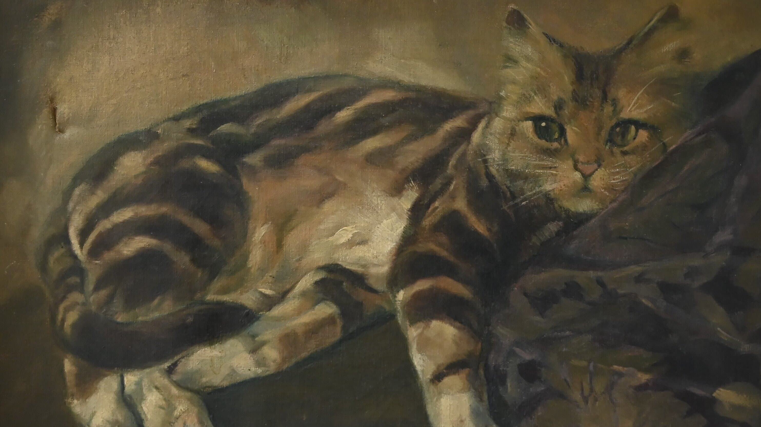 Alfred Uebel, Katze , Öl auf Leinwand. © Kunstsammlung Gera