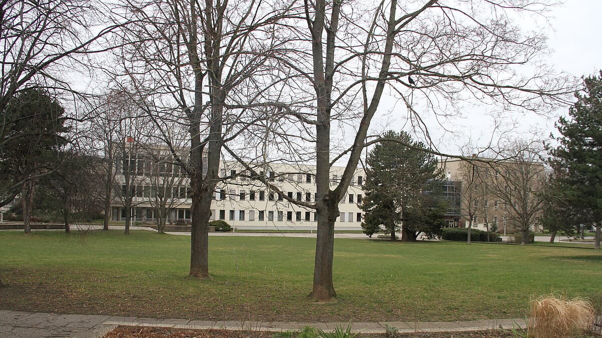 Rasen am Park der Demokratie. © Stadt Gera