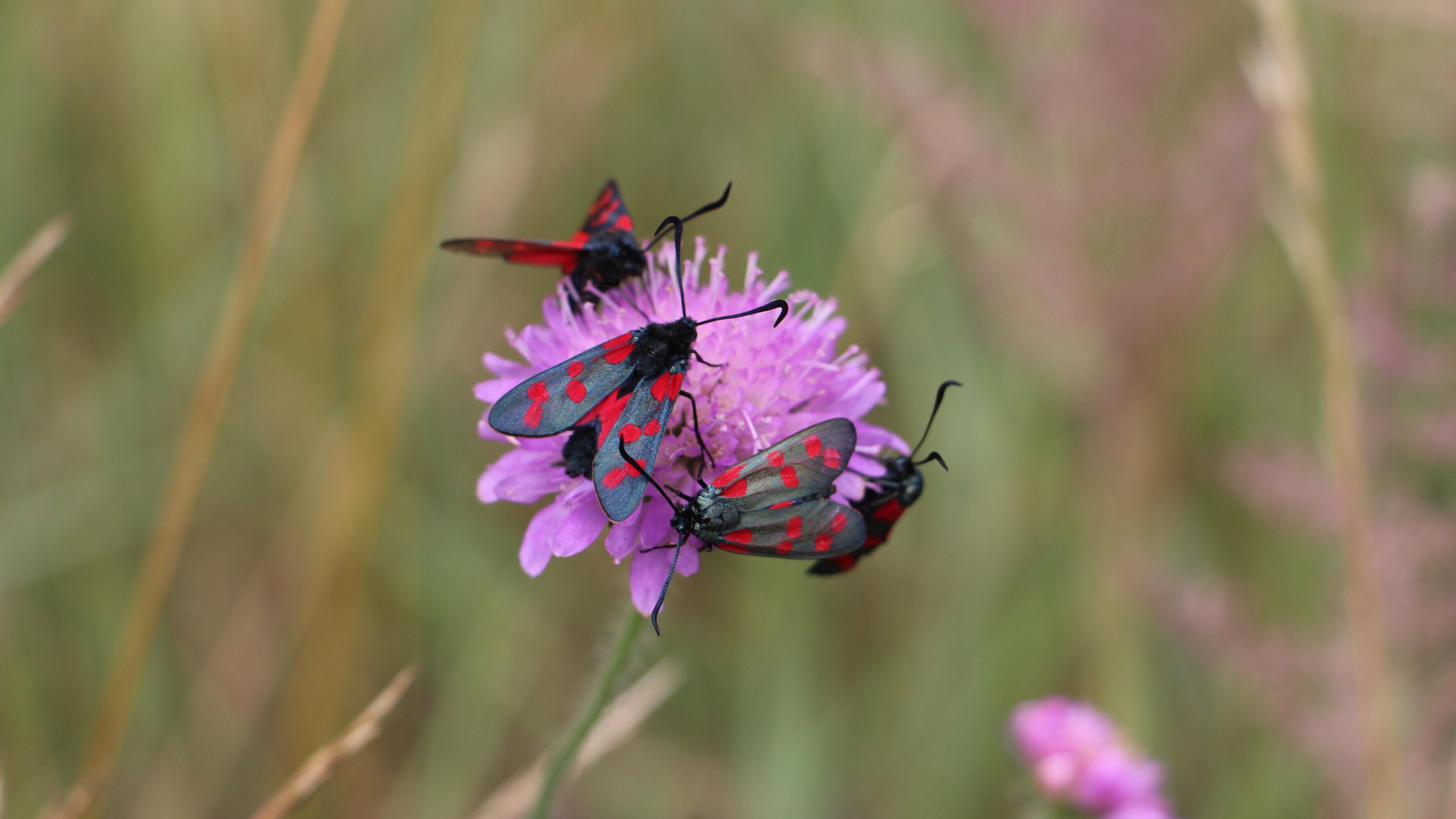 undefined. © Andrea Geithner. © Andrea Geithner